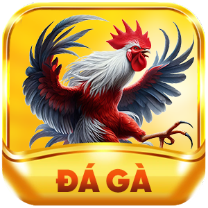 Đá gà Sc88